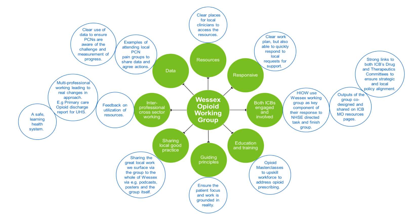 Wessex Opiod Working Group diagram